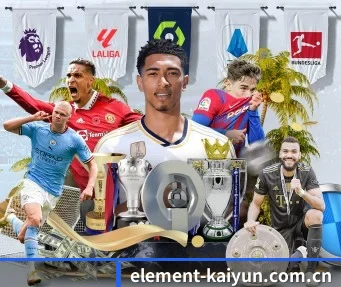 Kaiyun中国入口 APP