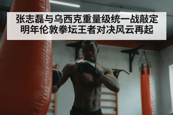 boxer training heavy bag