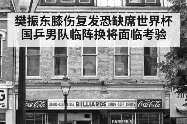 樊振东膝伤复发恐缺席世界杯 国乒男队临阵换将面临考验